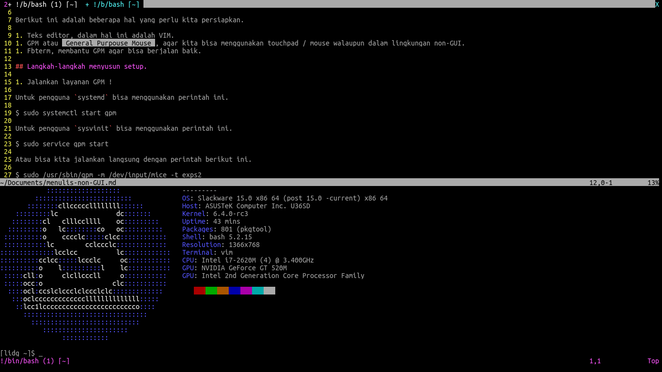 Setup Menulis dengan VIM di Lingkungan Non-GUI.