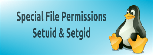 Mengenal Access Permission Setuid, Setgid di GNU/Linux