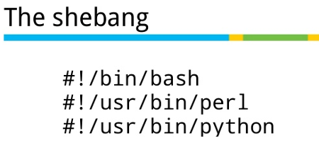 Belajar Bash Script – Mengenal Shebang