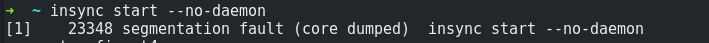 Segmentation fault core dumped